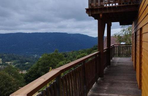 Chalet 3 étoiles avec sauna près de La Bresse - FR-1-589-18 - Foto 13