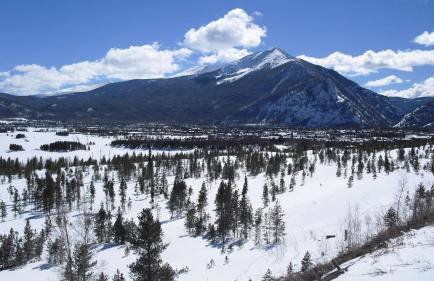 Heart of Frisco Condo - Foto 25