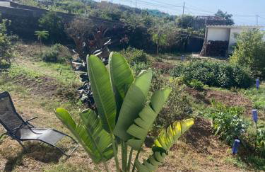 Eco Finca Vista Mar y Teide mit tropischem Garten - Foto 23
