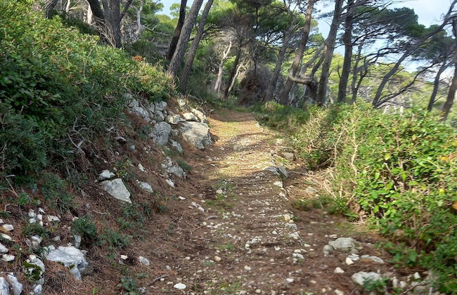 Villa Sea Dream - Foto 44