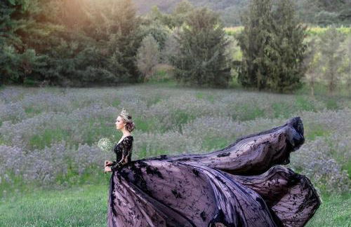 LeFay Cottage at Little Washington - Foto 27