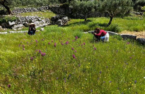 Casa da Curva - Foto 51