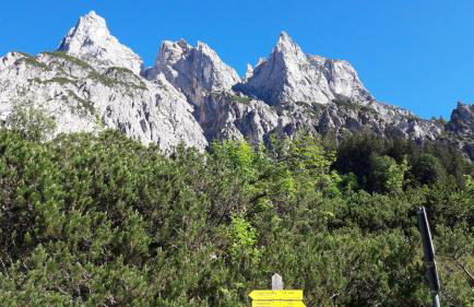 Ferienwohnungen Gästehaus Lärcheck - Foto 50