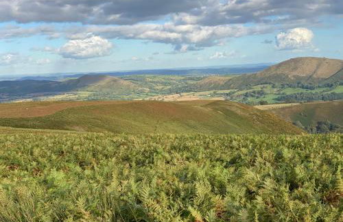 The Lawley - Photo 7