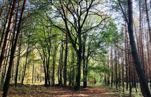 Idyllisches Ferienhaus in ruhiger Lage - Foto 25