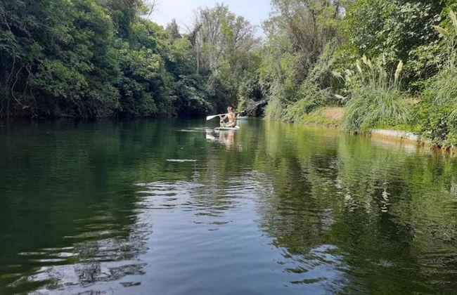 Villa in Vidauban With Pool & Vineyards Nearby - Foto 35