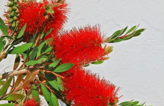 La Chaize - Villa, Suites & Spa - Foto 19