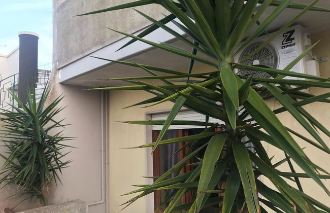 Il Girasole - Foto 15