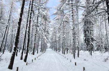 Gîtes de Charme 6 ou 8 personnes en Aubrac chez Sébastien & Stéphanie - Foto 72