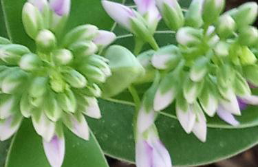 Giaglakis Rooms - Foto 75