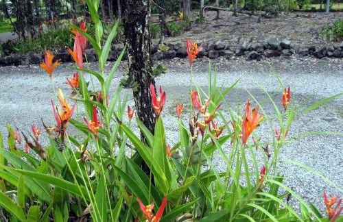 Keaau Place - Foto 26