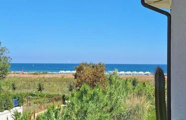 Le Dune e il Gabbiano - Foto 17