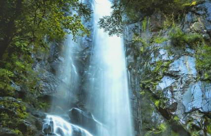 A Casiña do Patio - Foto 41