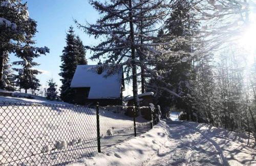 Domek pod Modrzewiem - Foto 29