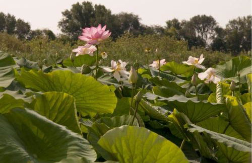 A Casa di Bruna - Foto 69