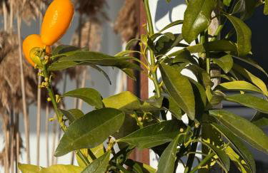Thalassa apartments - Foto 22