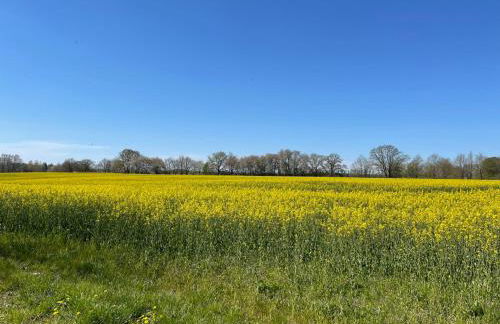 Apartment Heide by Interhome - Foto 29