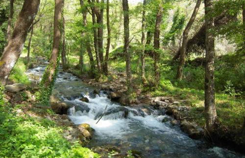 Kastorio-Villy's Guest House - Foto 56