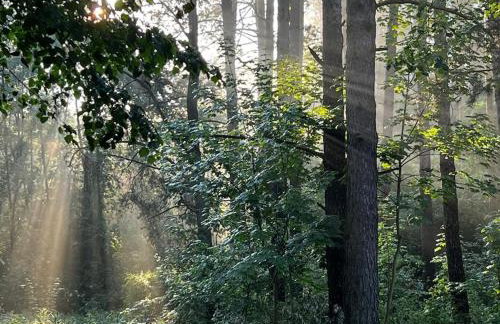 Dworek Willa Biała Góra - Foto 24