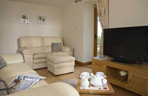 Meadow View - Foto 3