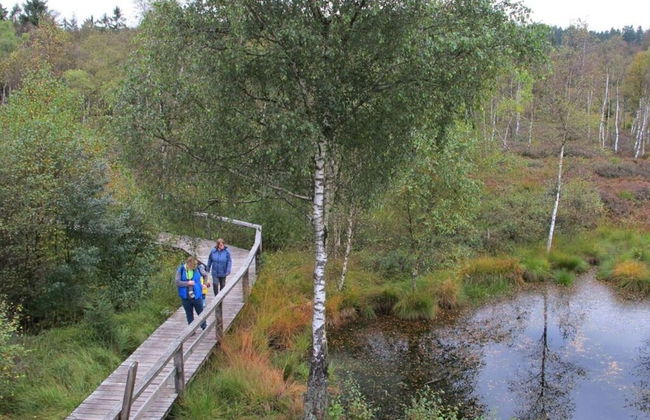 Fasse Comfortable Holiday Residence - Foto 15