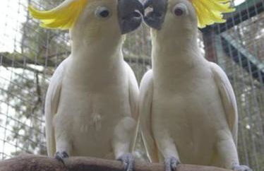 Appartamento-L'elicriso - Foto 32