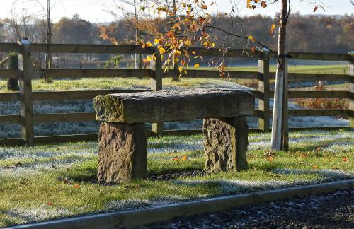 The Haymakers - Photo 15