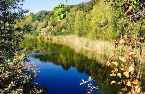 Studio SPA Le Petit Clos - Foto 13