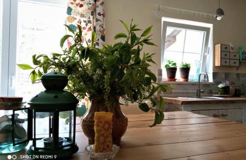 Kozy i Róże - Foto 17