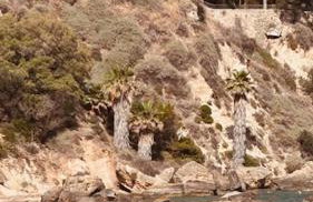 LimonoSpito - Photo 52