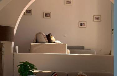 PATMOS Confidential - Foto 12