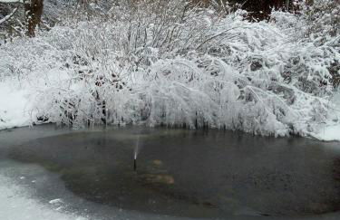 Ferienwohnung Pedro - Foto 9