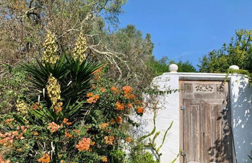 Casa Stardust & cottages - Foto 63