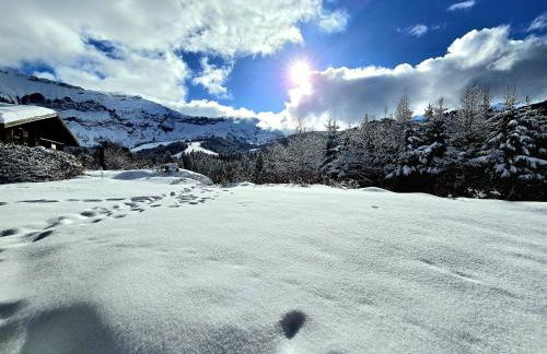 Chalet du Lay Côte 2000 ski in ski out - Foto 49