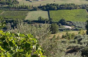 La Casa di Stefania LOFT - Foto 46