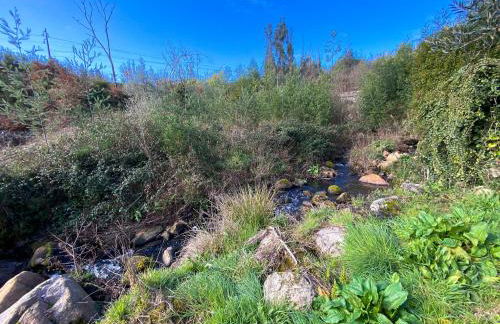 Encosta do Sol - Foto 11