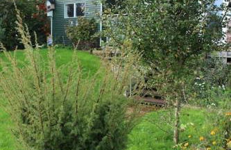 Beautiful Home in Dorset - Photo 46