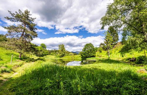 Ferienwohnung Bergzauber Schwarzwald - Foto 22