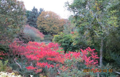 Polgwedhen Lodge - Photo 33