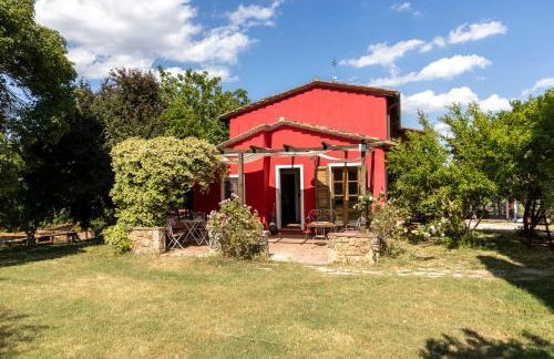 L'Aquila e L'Ulivo - Foto 33