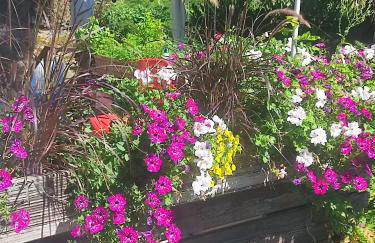 Haus Wander-Lust - Foto 79