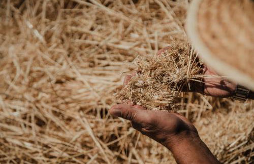 Leano Agriresort - Foto 49