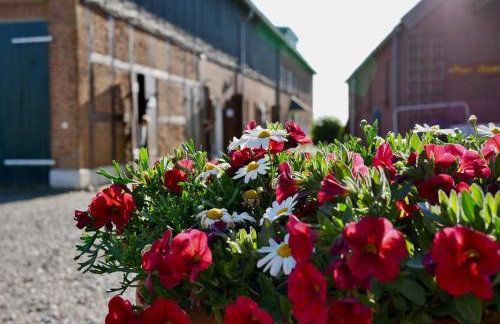 Knusthof - Wohnung 1 - Foto 8