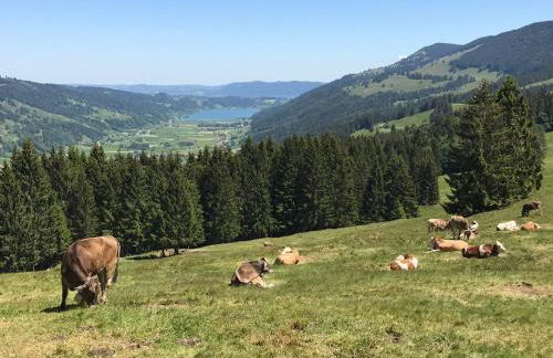 Ferienwohnung Steibis / Allgäu - Foto 30