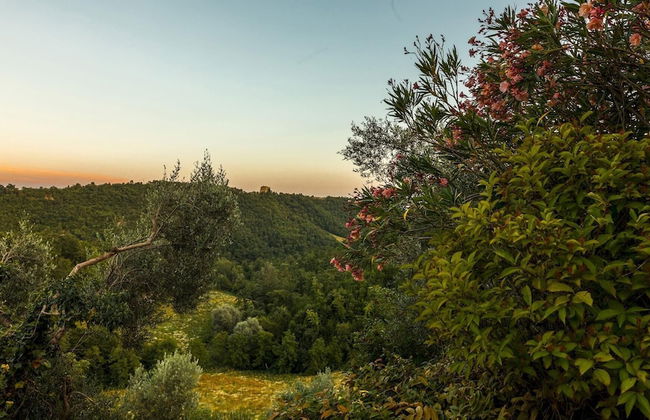 Col Di Casale 8 in Montone - Foto 44