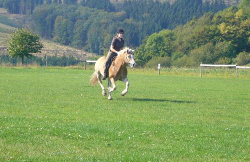 Haus Berghoff - Foto 15