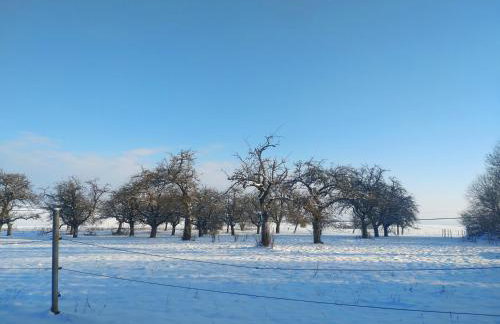 Kraewelhof - Foto 32