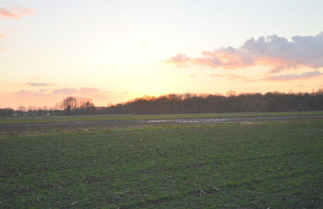 Inviting Holiday Home in Stramproy With Terrace - Photo 38