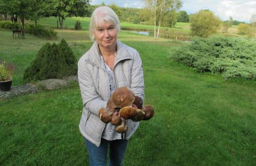 domki na leśnej polanie - Foto 34