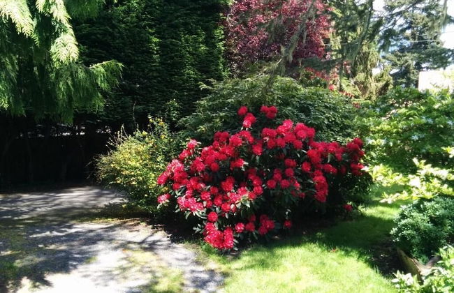 Salty Towers Oceanfront Cottages - Foto 31